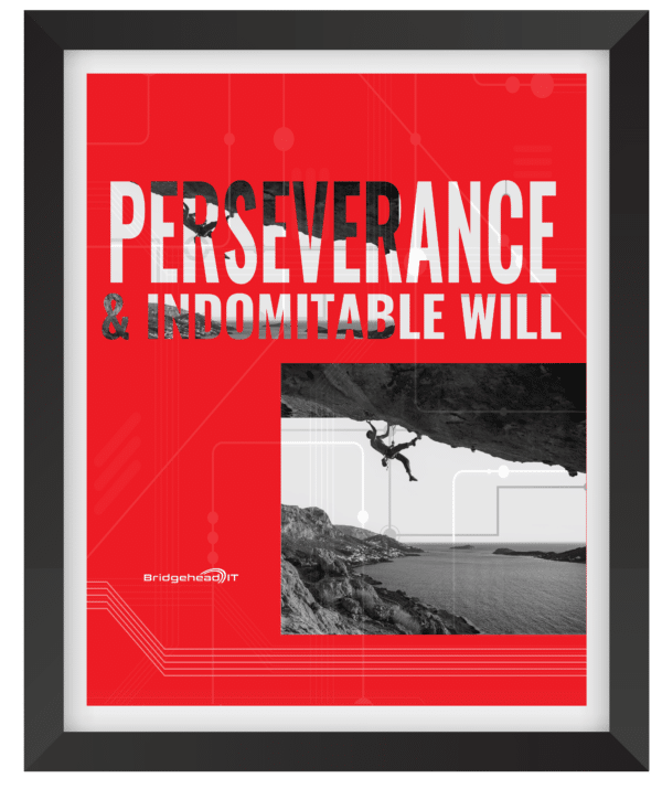 Perseverance And Indomitable Will