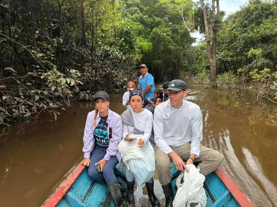 trek through the jungle